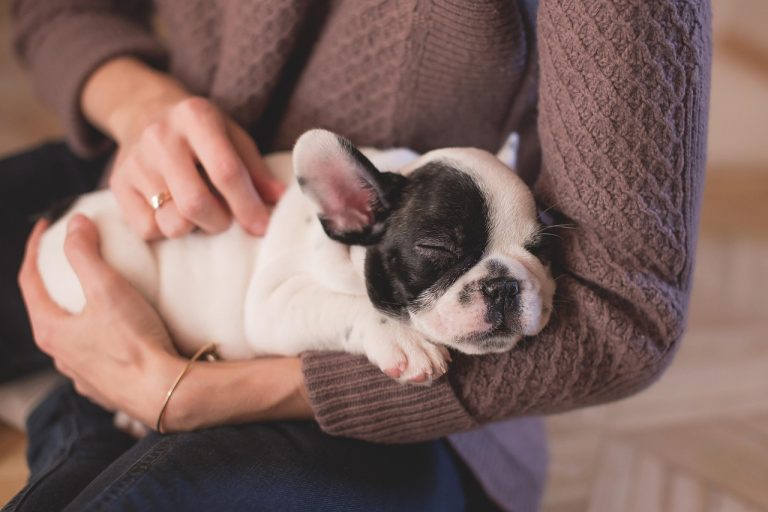 hond in de armen van een vrouw (Werelddierendag – 4 oktober 2025)